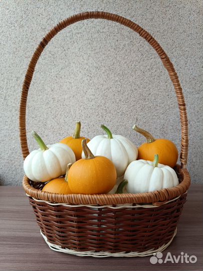 Тыквы декоративные