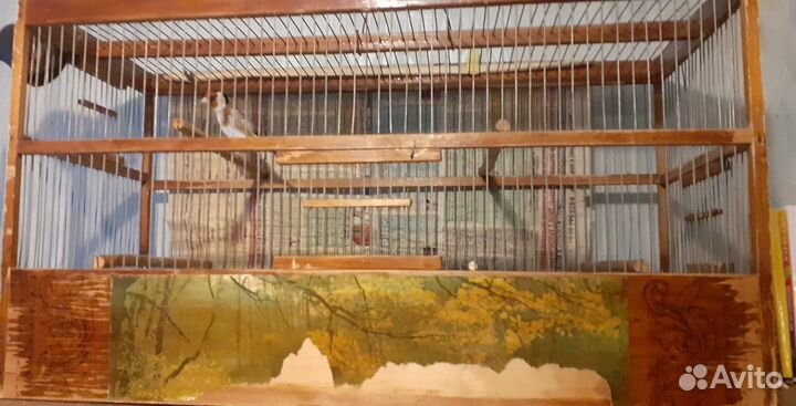 Клетка со щеглом