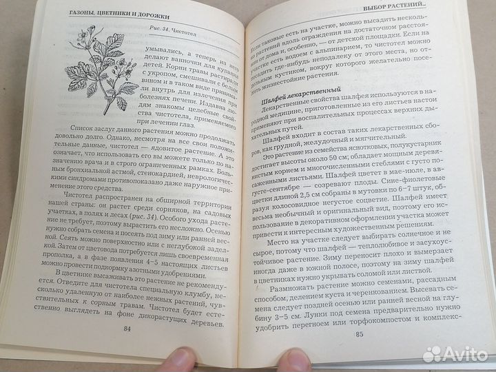Нестерова, А.В. / Газоны, цветники и дорожки