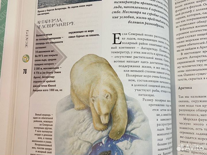 Энциклопедия в 3 томах