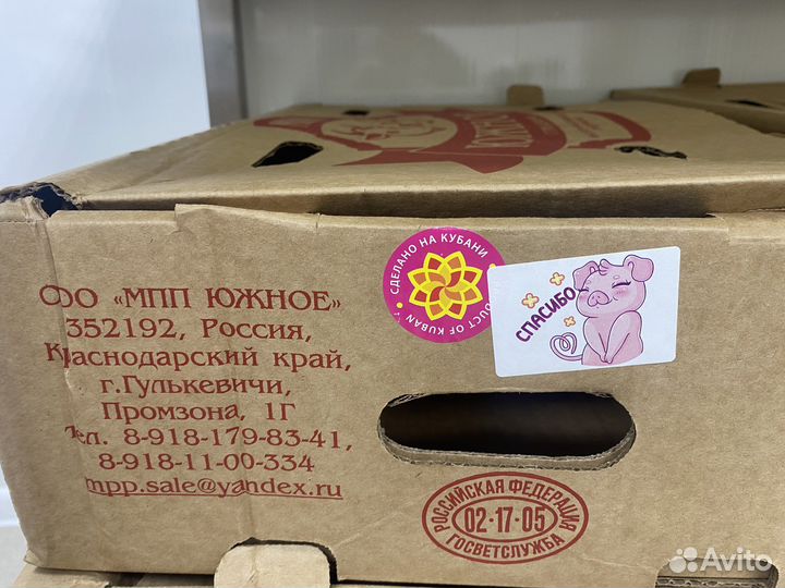 Мясо свинина охл