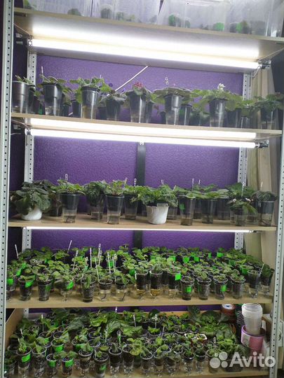 Механический таймер