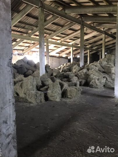 Сено., Тюки. Рулоны Доставка