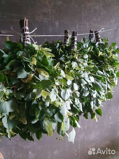 Веники для бани липа