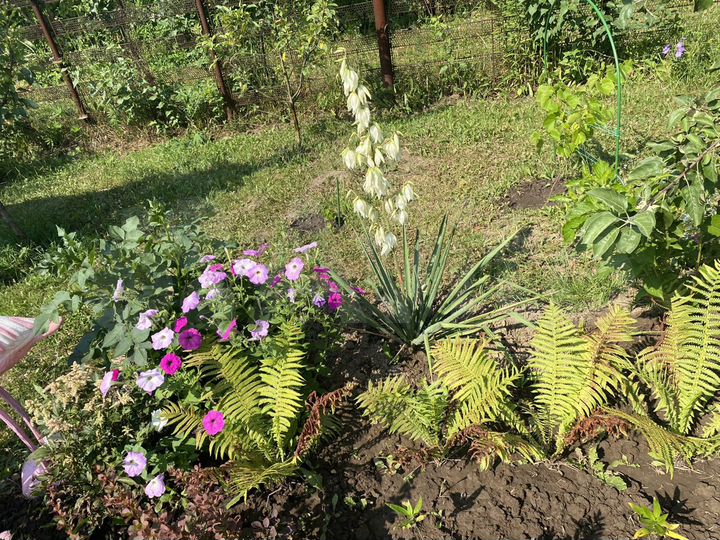 Дача 28 м² на участке 6 сот.