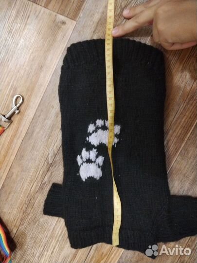 Вещи для собак