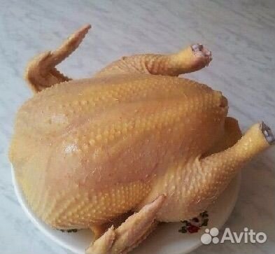 Куры домашние на мясо