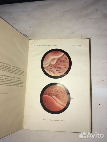 Антикварное издание 1924 года