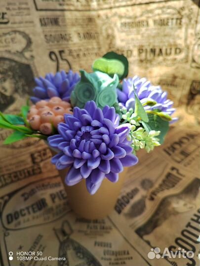 Астры, розы