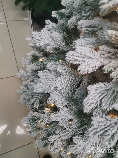 Ель Византия заснеженная