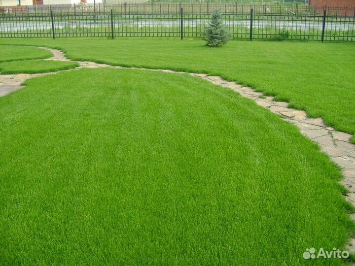 Рулонный газон c доставкой