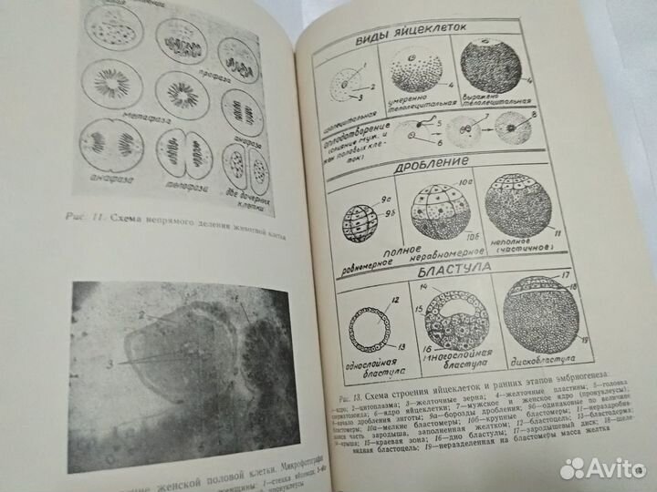 Руководство к практическим занятиям по гистологии
