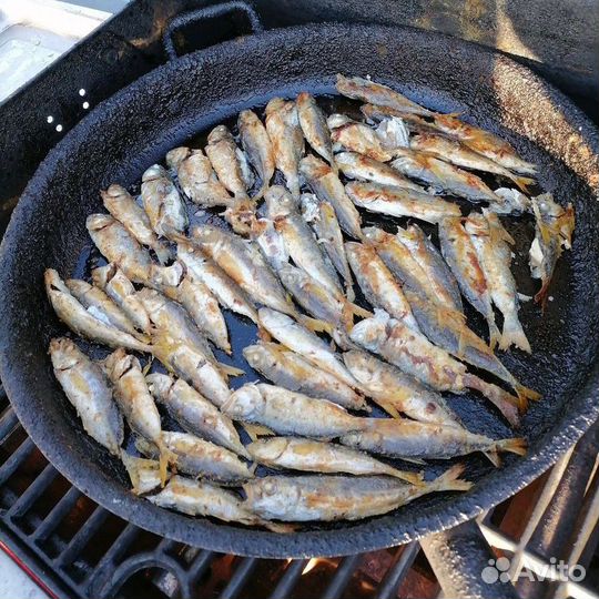 Рыбалка в море 3 часа