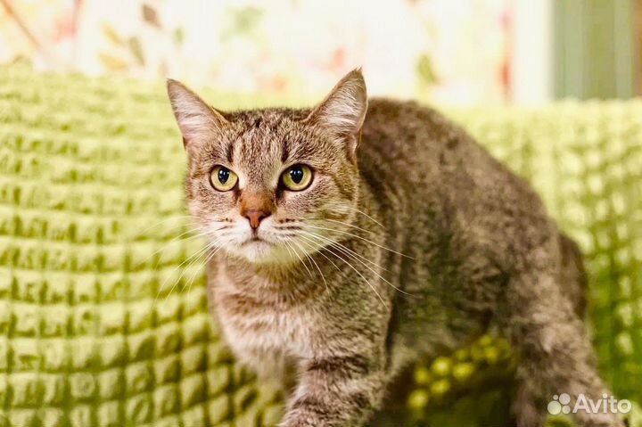 Мишель - ласковая девочка