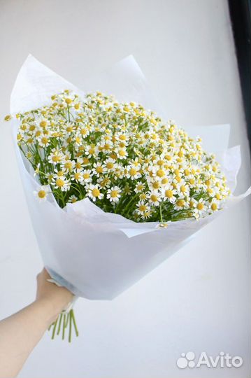 Букет цветов ромашки