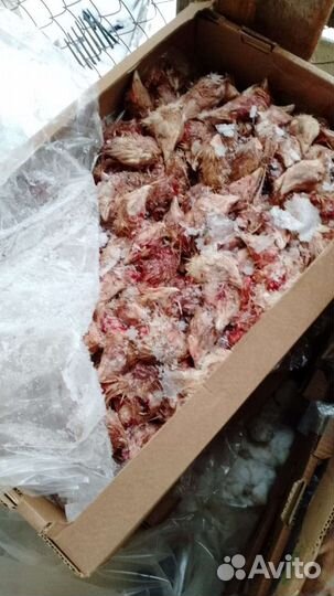 Корма для животных