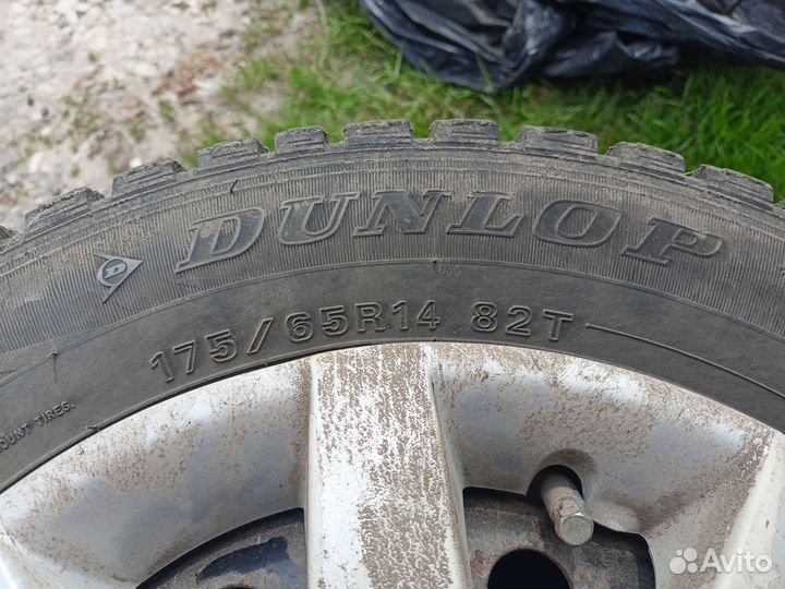 Зимняя резина r14 175 65 dunlop