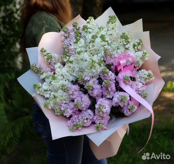 Матеолла, цветы, букет доставка