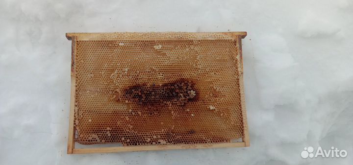 Рамки медовые, сушь