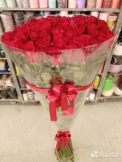 Розы гиганты 140 150 160 170 180 200