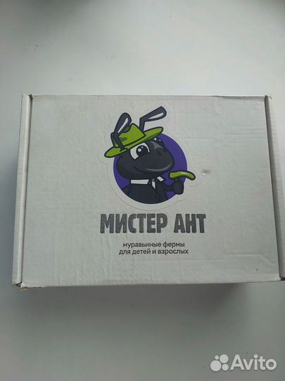 Муравьиная ферма