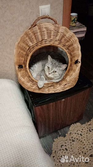 Котятники из лозы плакучей ивы