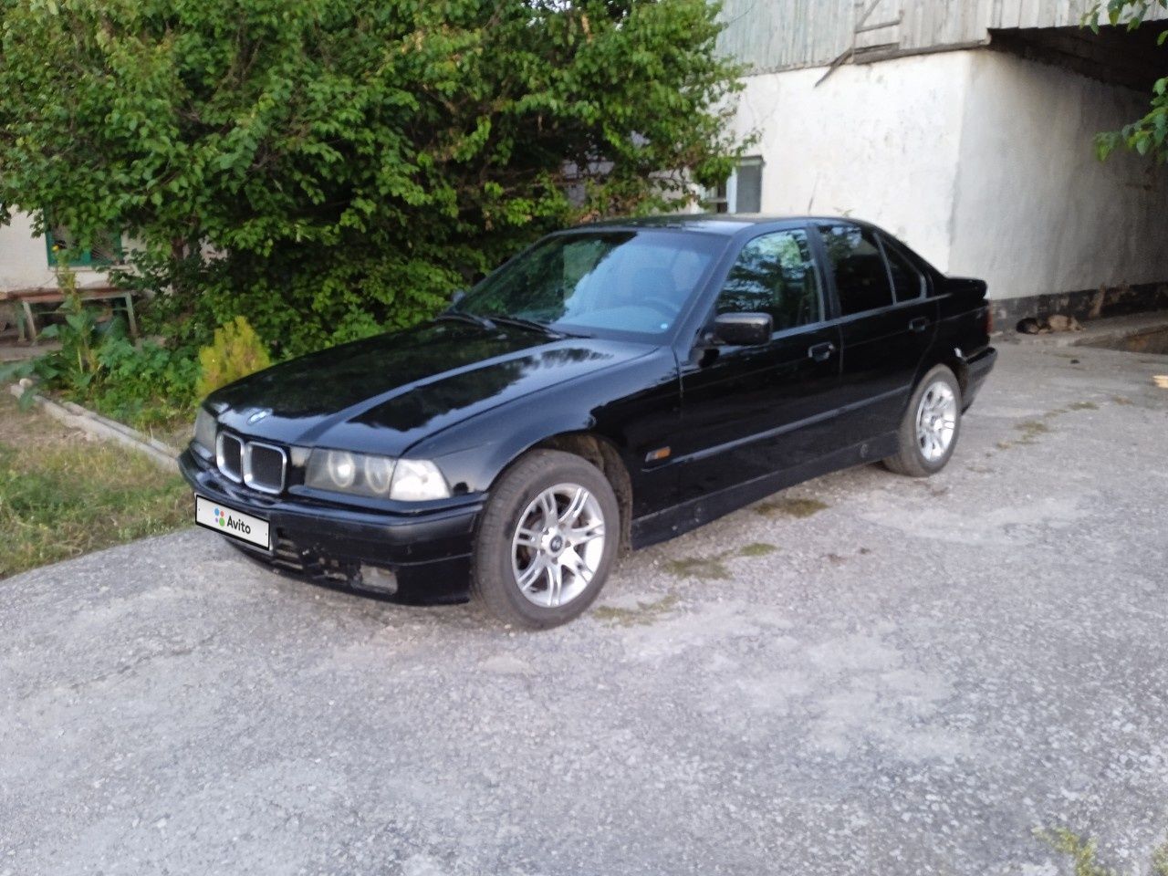 BMW 3 серия: фото владельца