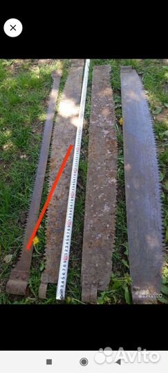 Пила двухручная