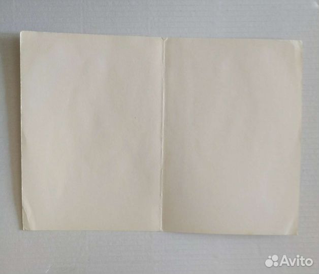 Художник М. Матвеев 1981г