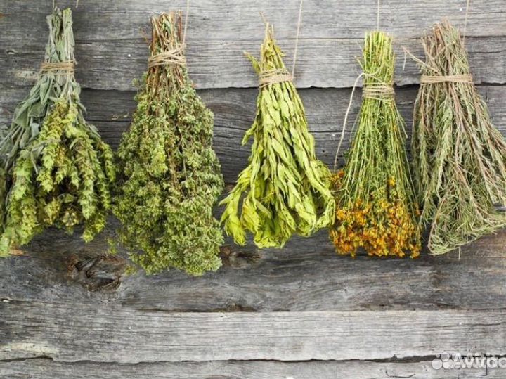 Лечебные травы