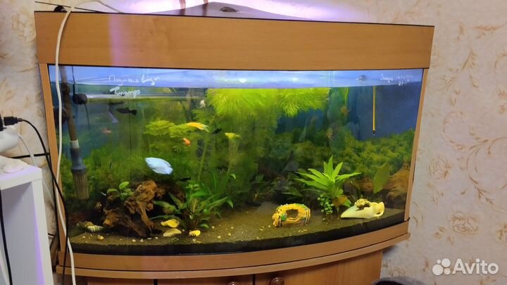 Аквариум с тумбой