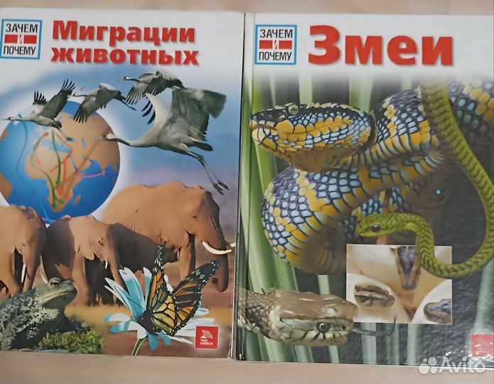 Познавательные книги для детей