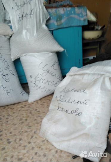 Семена Арбуза и Дыни