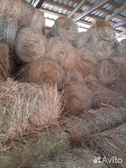 Продажа сена в рулонах