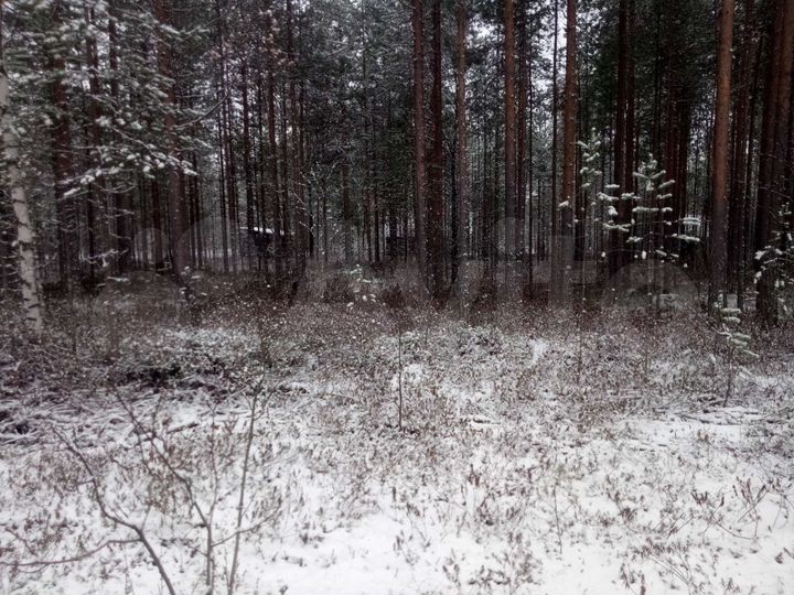 Участок 10 сот. (СНТ, ДНП)