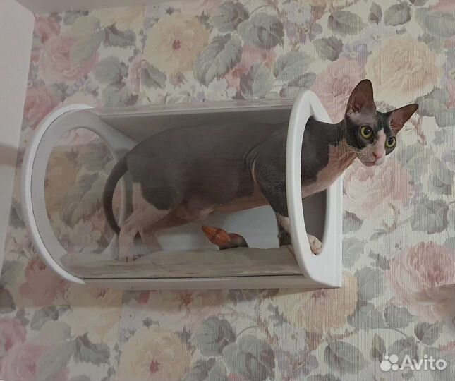 Дизайнерские домики для кошек