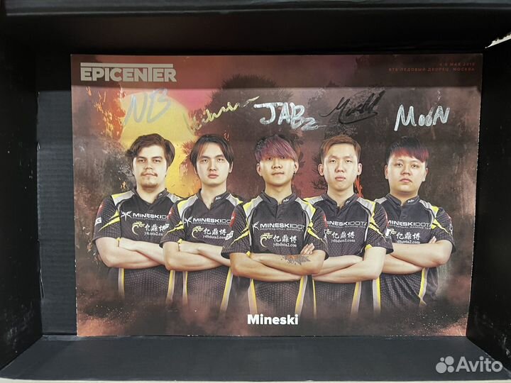Автограф команды mineski