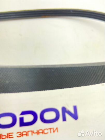 Ремень компрессора кондиционера Bmw X5 E53 2006