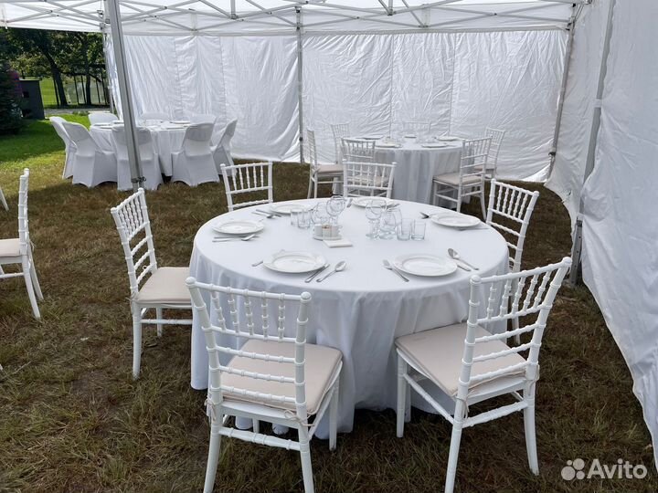 Аренда стульев Кьявари