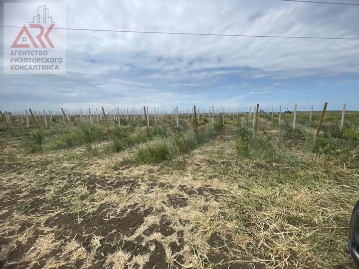 Участок 8 га (СНТ, ДНП)