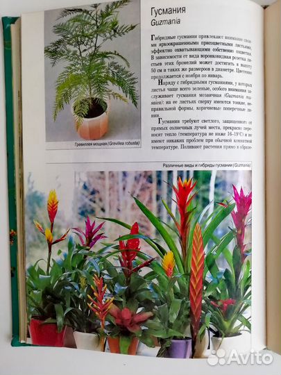 Книга мини-энциклопедия 