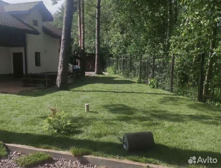 Натуральный рулонный газон