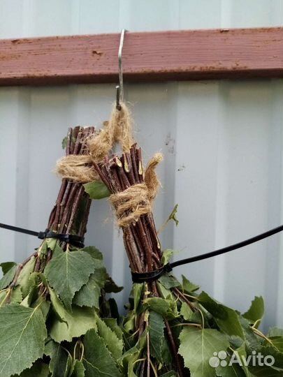 Веники для бани береза