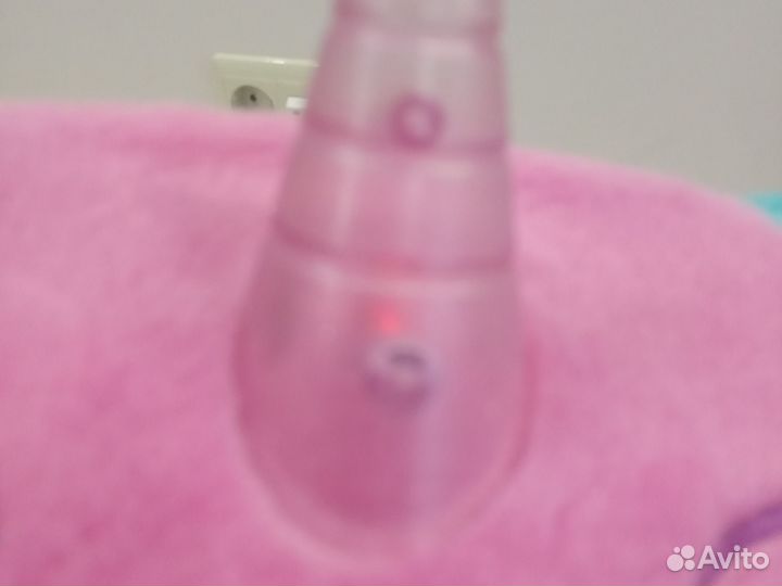 Кот единорог