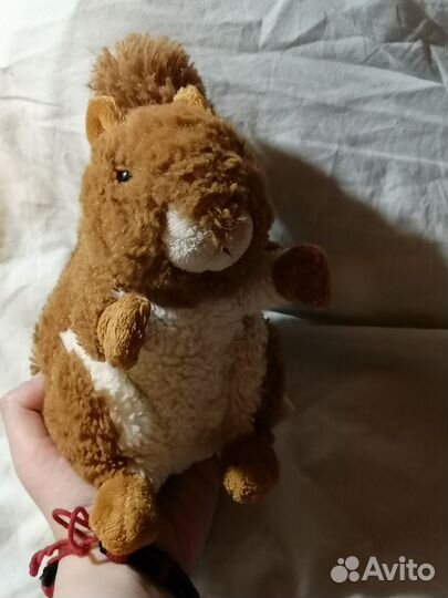 Мягкие животные