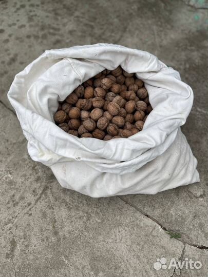 Грецкий орех в скорлупе