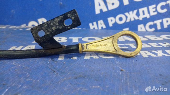 Щуп масляный Ford Focus 3 седан iqdb 2012