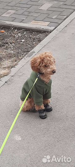 Худи толстовка для собаки теплая 35см