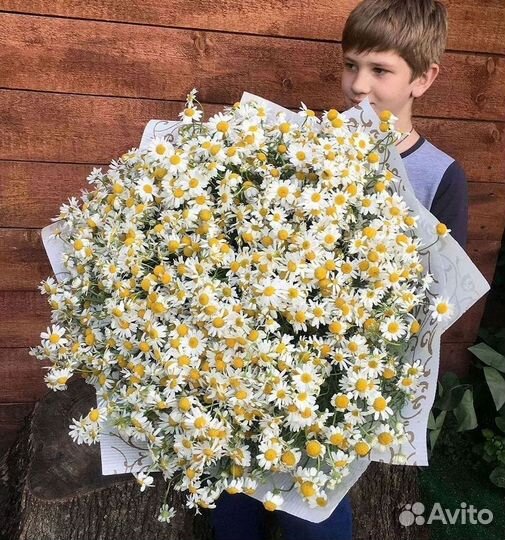 Доставка цветов. Ромашки