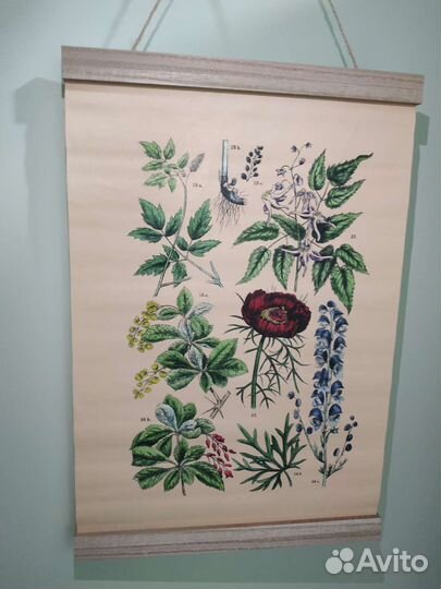 Картина панно ботаника